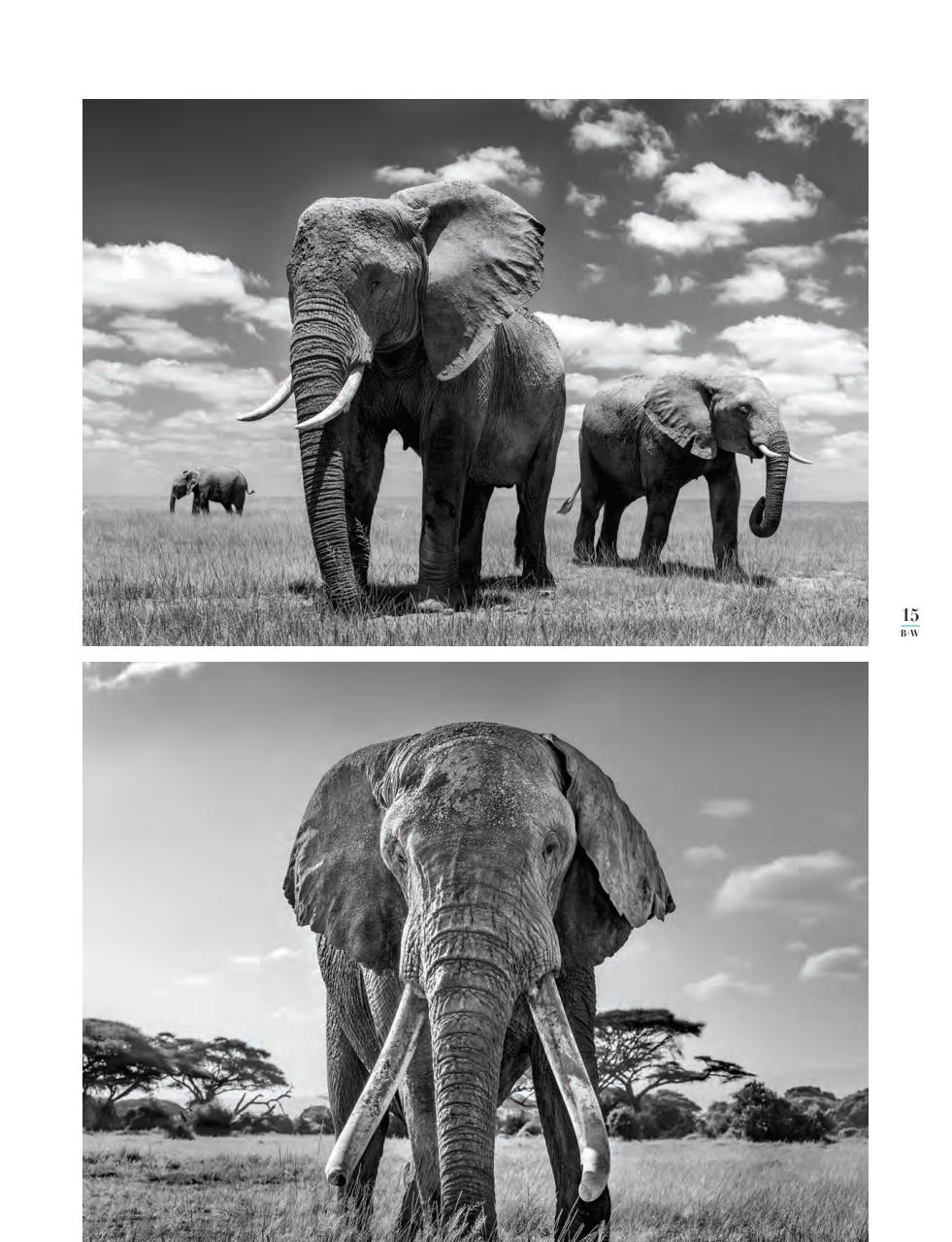 Black+White Photography Preview Pages