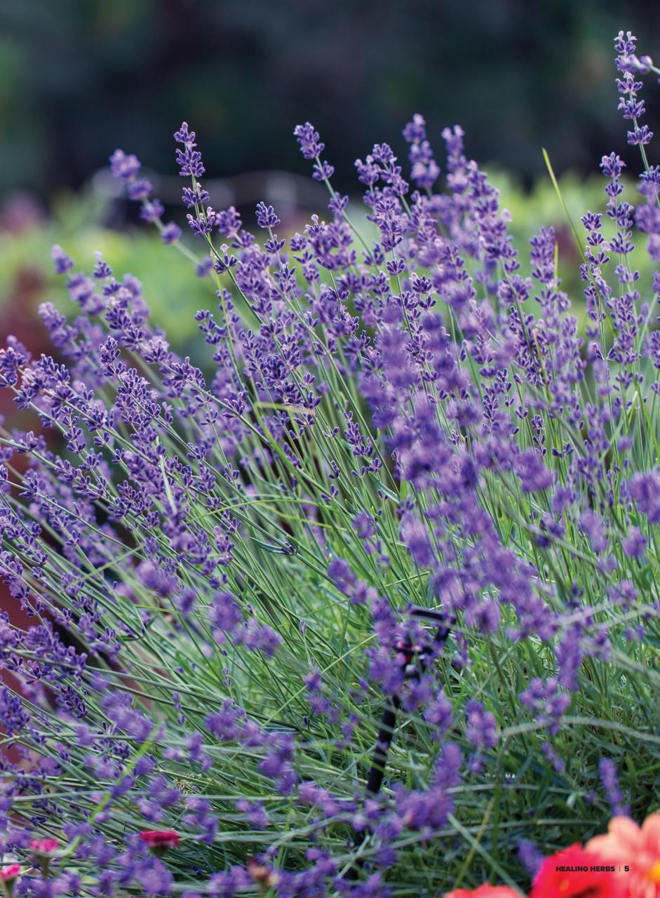 Hobby Farms Magazine Preview Pages