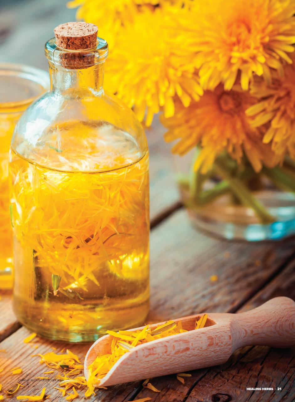 Hobby Farms Magazine Preview Pages