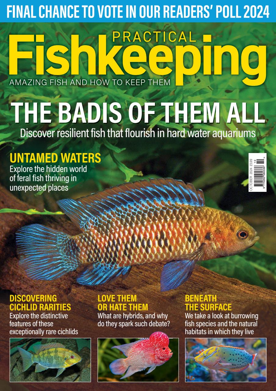 Practical Fishkeeping Preview Pages