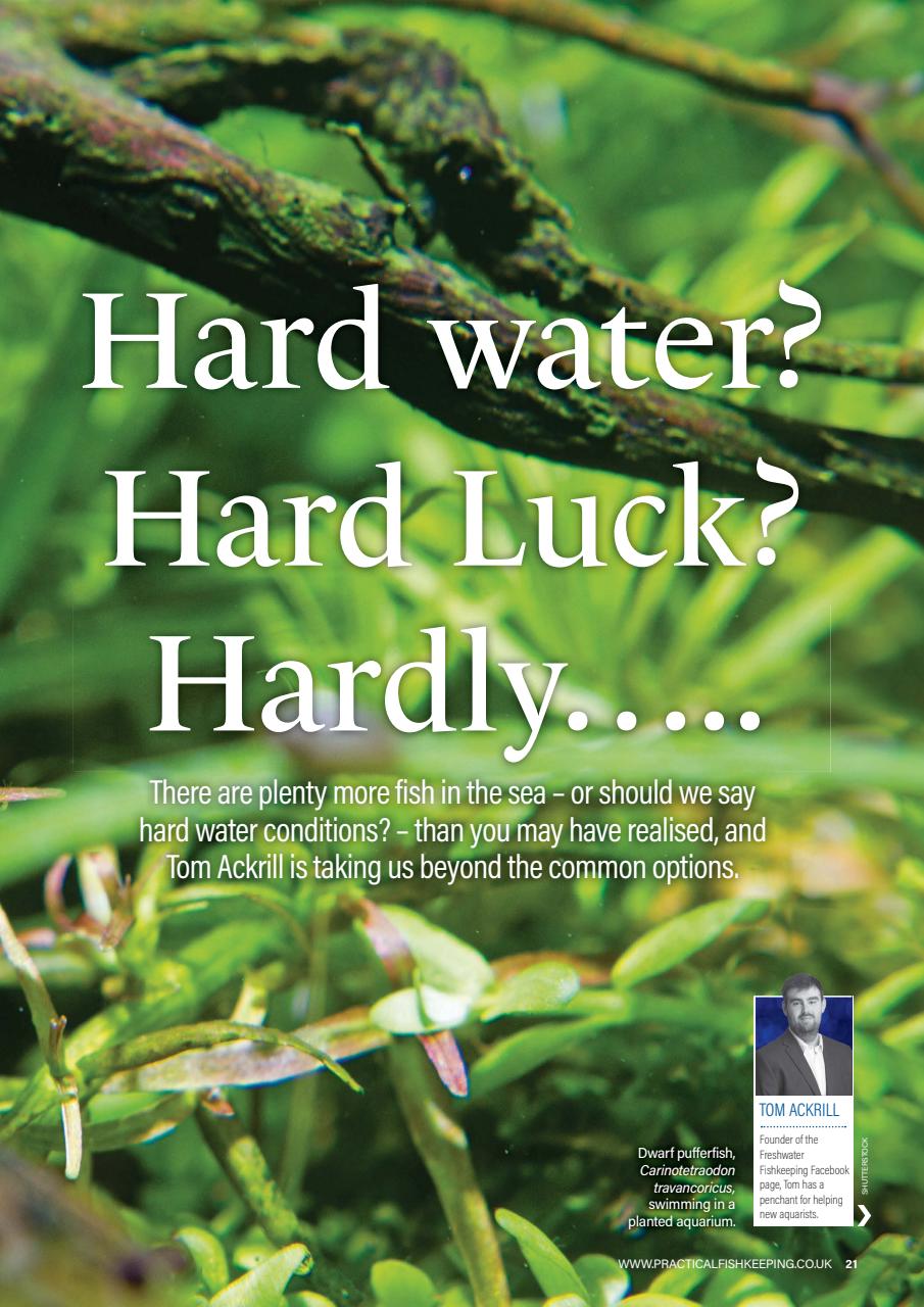 Practical Fishkeeping Preview Pages