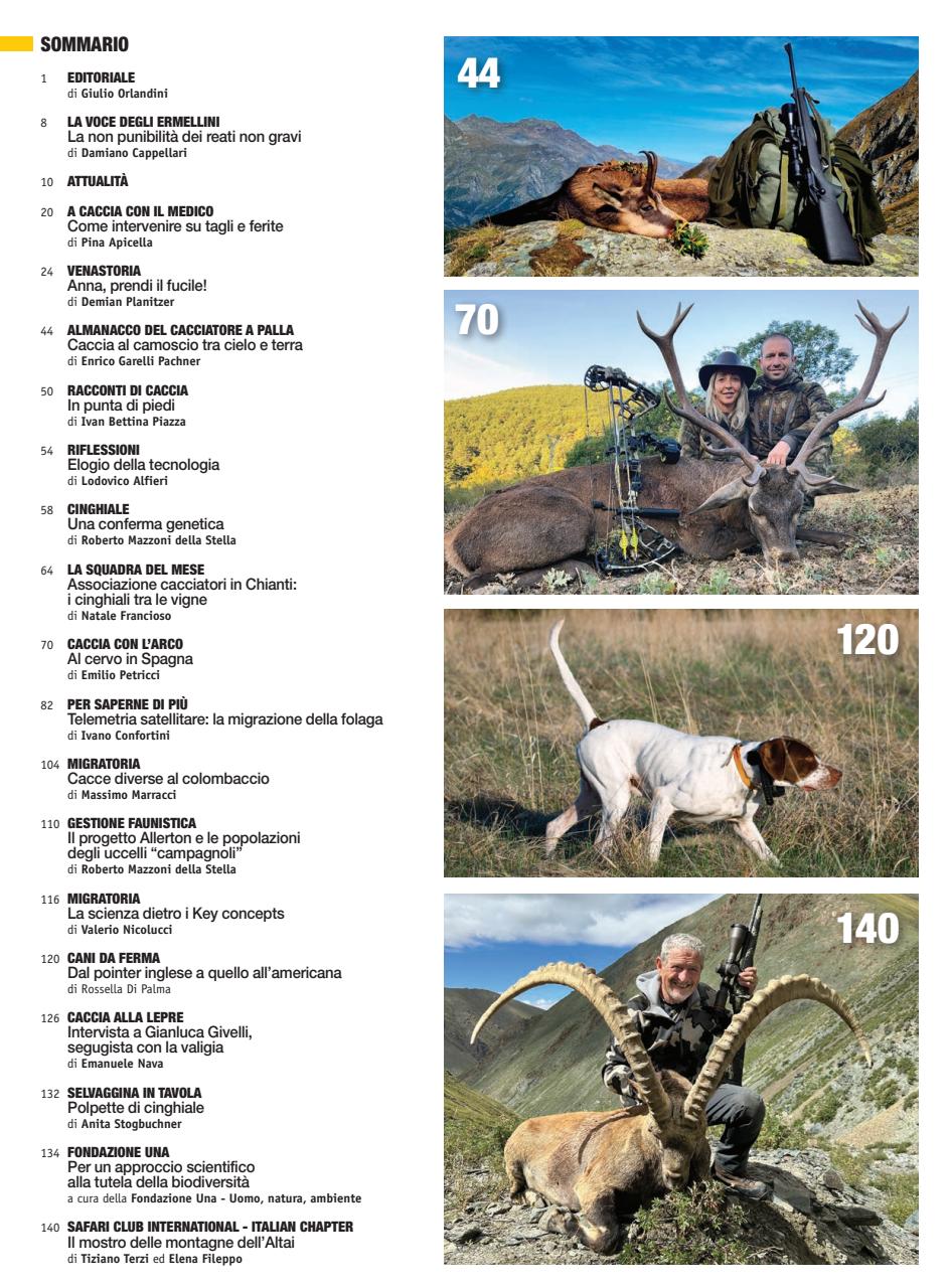 Caccia Magazine Preview Pages