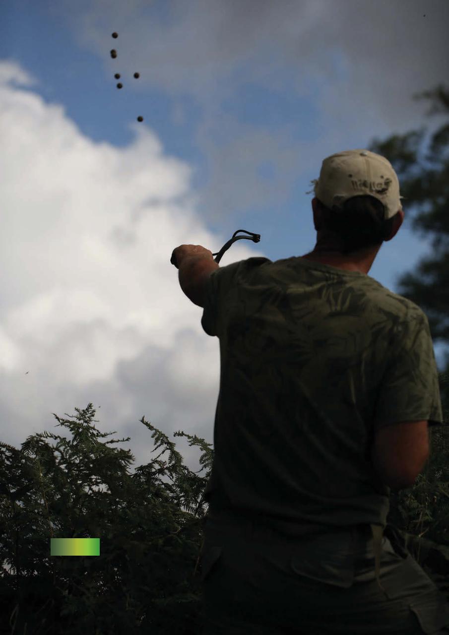 CARPology Magazine Preview Pages