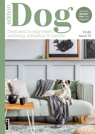 Edition Dog issue 
