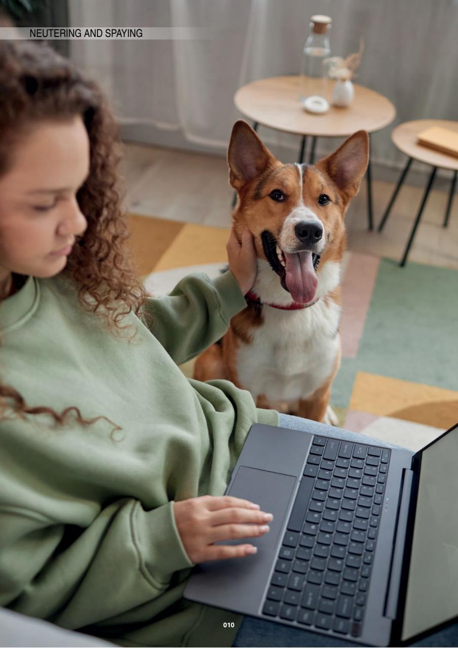 Edition Dog Preview Pages