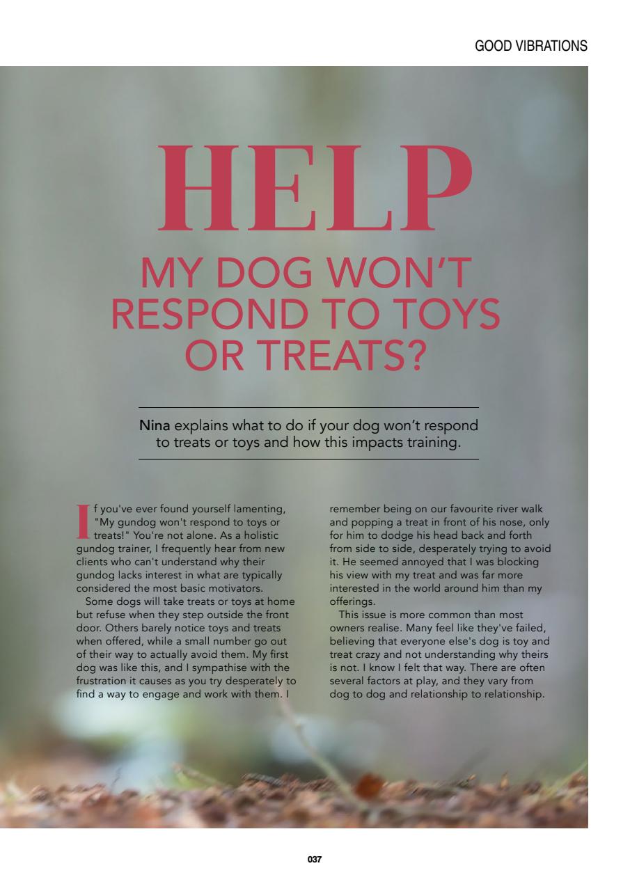 Edition Dog Preview Pages