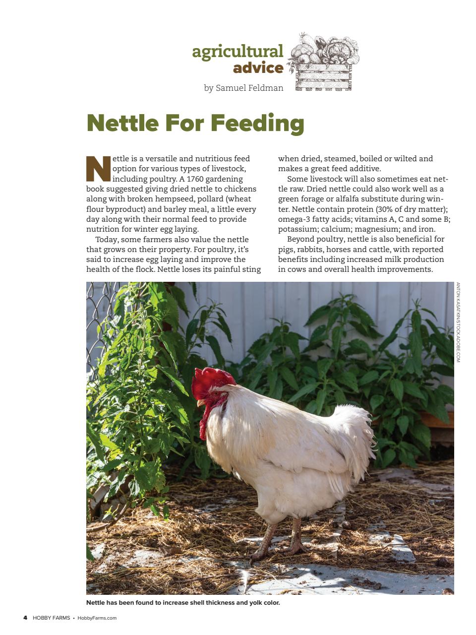Hobby Farms Magazine Preview Pages