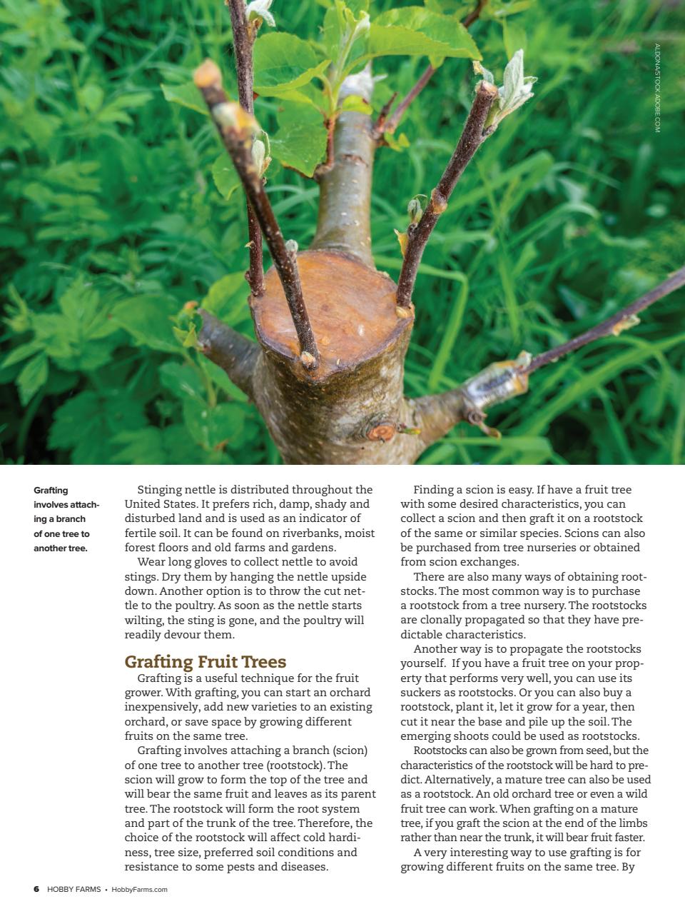 Hobby Farms Magazine Preview Pages