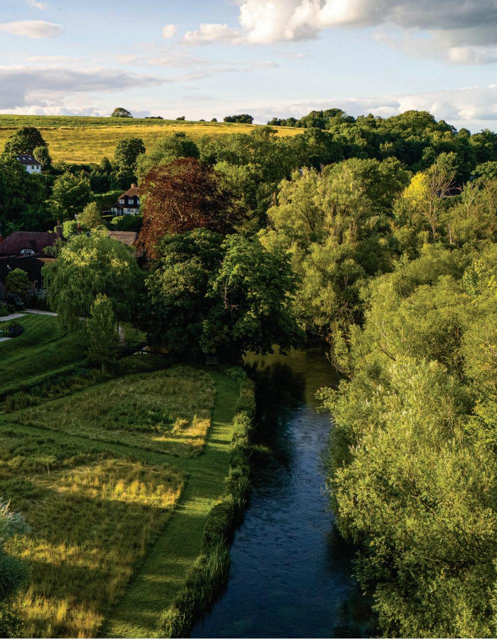 Trout & Salmon Preview Pages