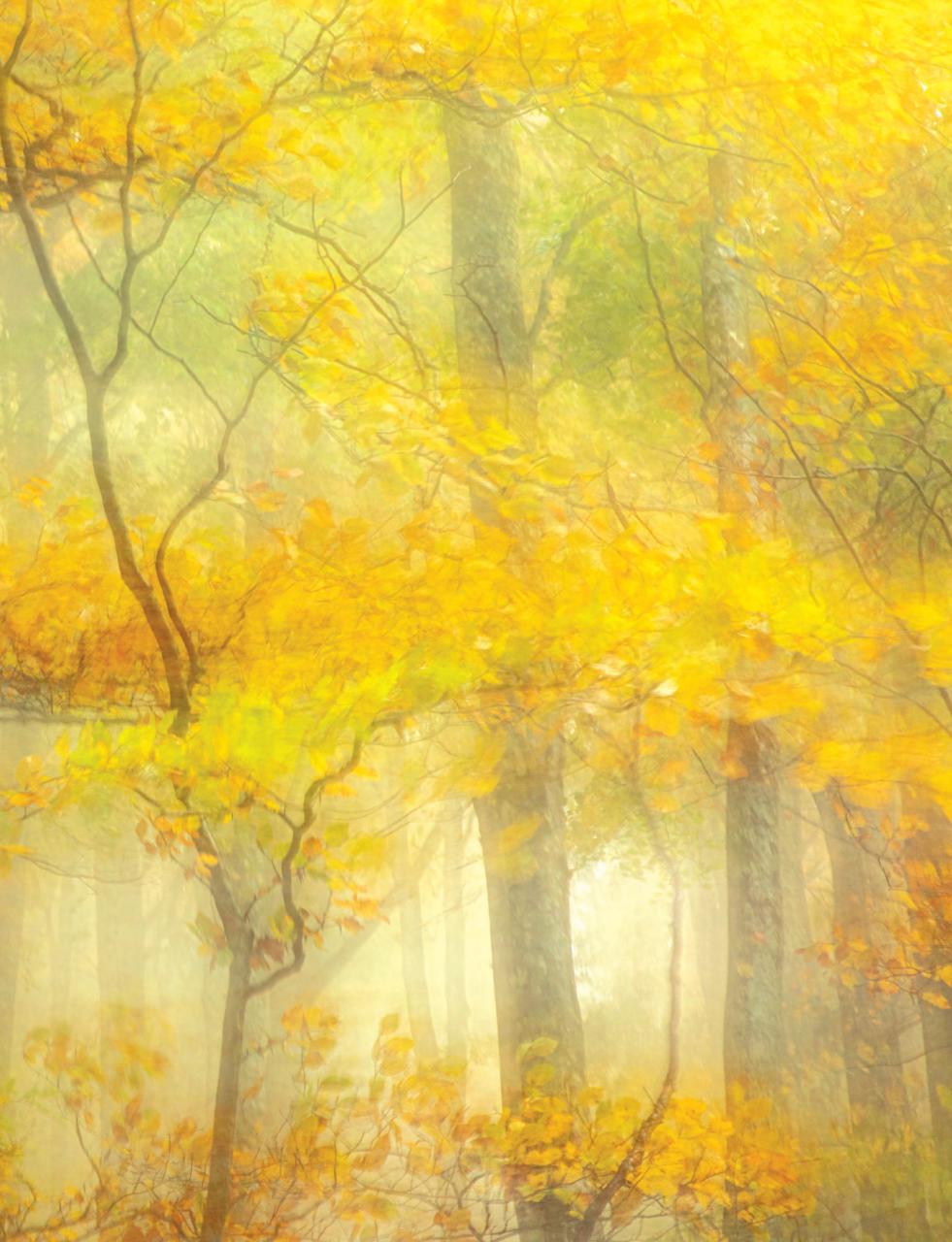 Outdoor Photography Preview Pages