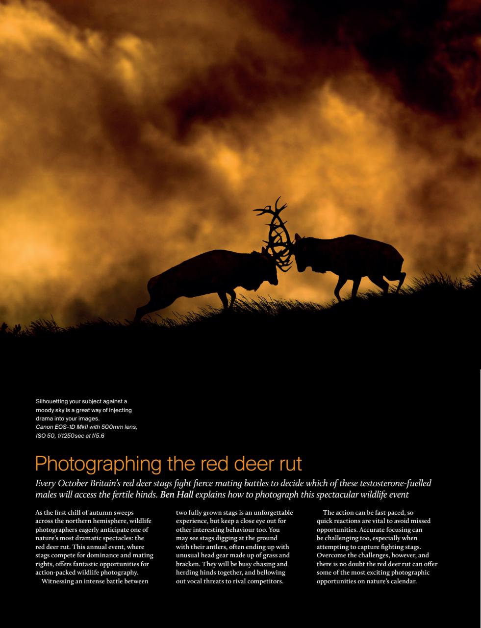 Outdoor Photography Preview Pages