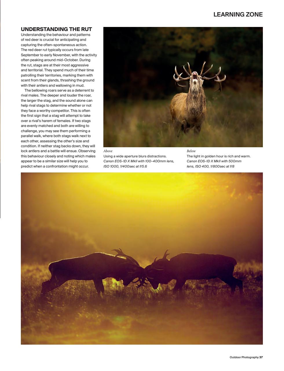 Outdoor Photography Preview Pages