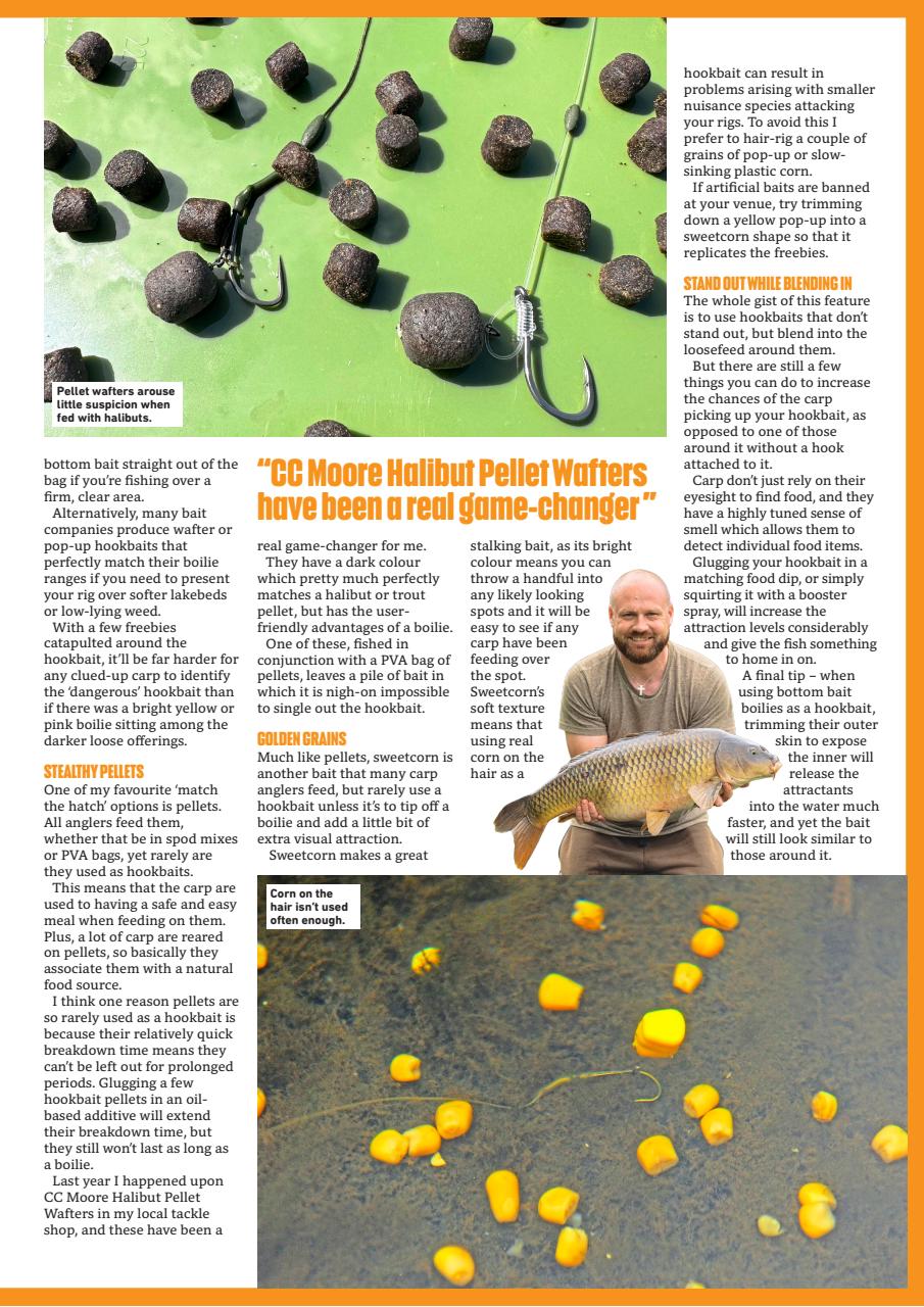 Angling Times Preview Pages