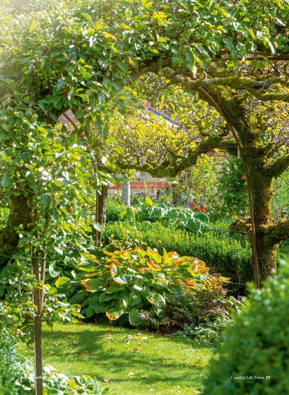 Country Life Bookazine Preview Pages