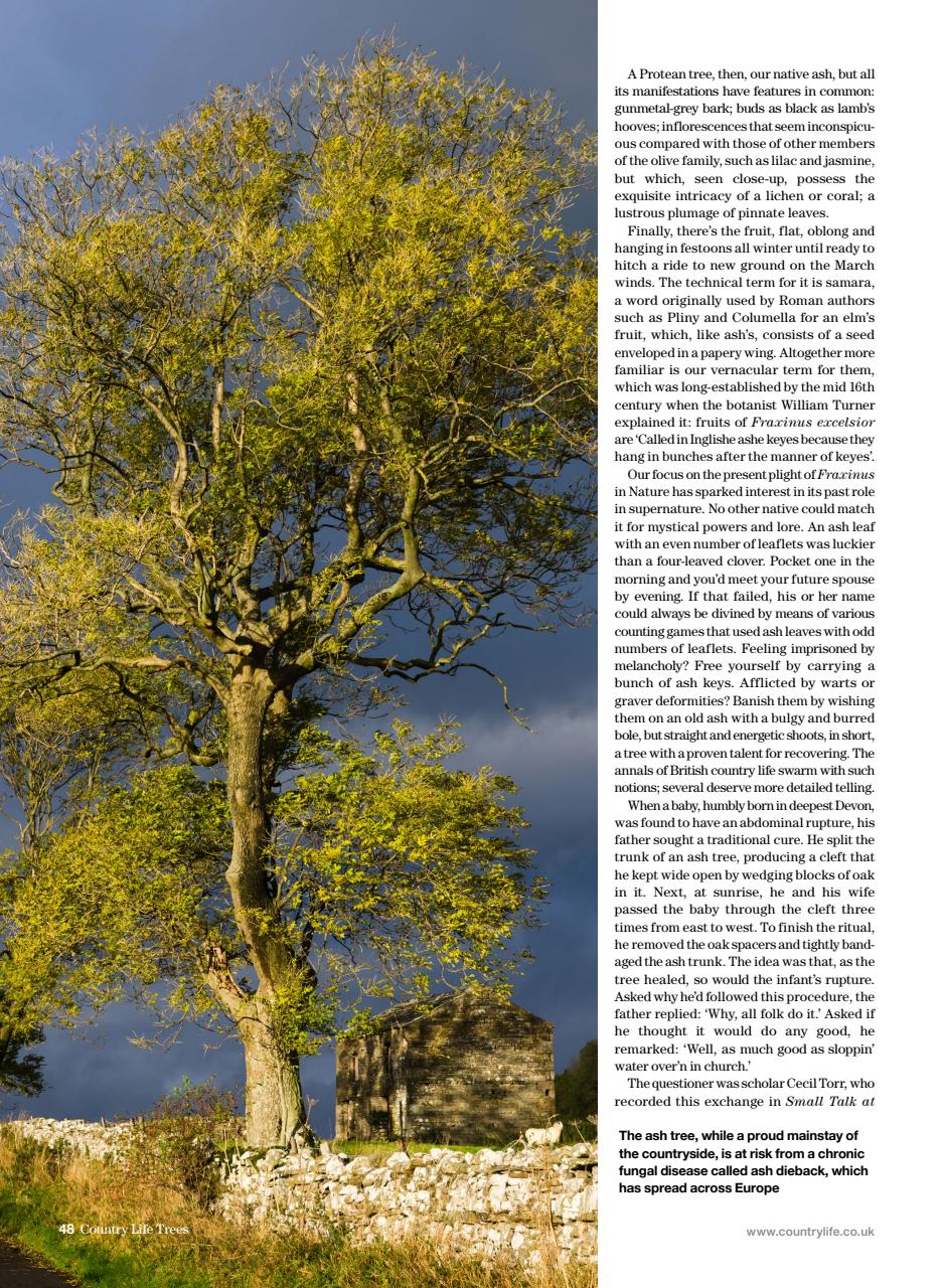 Country Life Bookazine Preview Pages