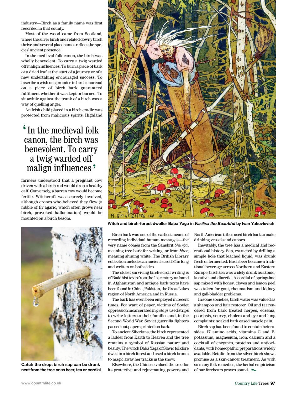 Country Life Bookazine Preview Pages