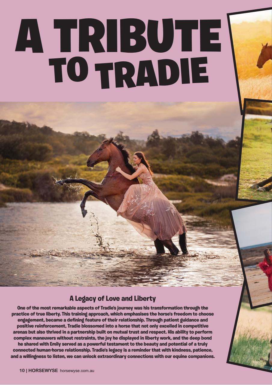 HorseWyse Magazine Preview Pages