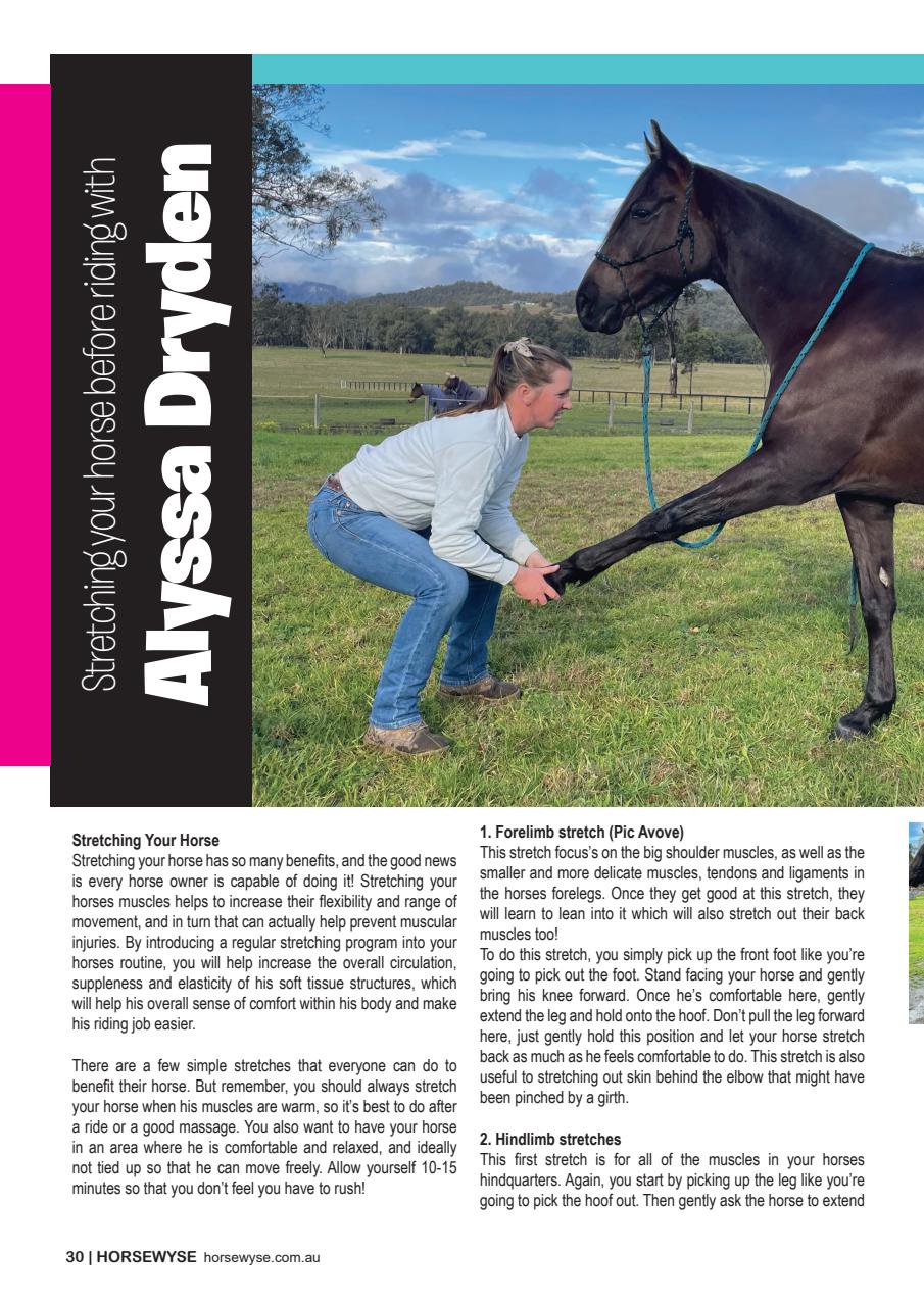 HorseWyse Magazine Preview Pages