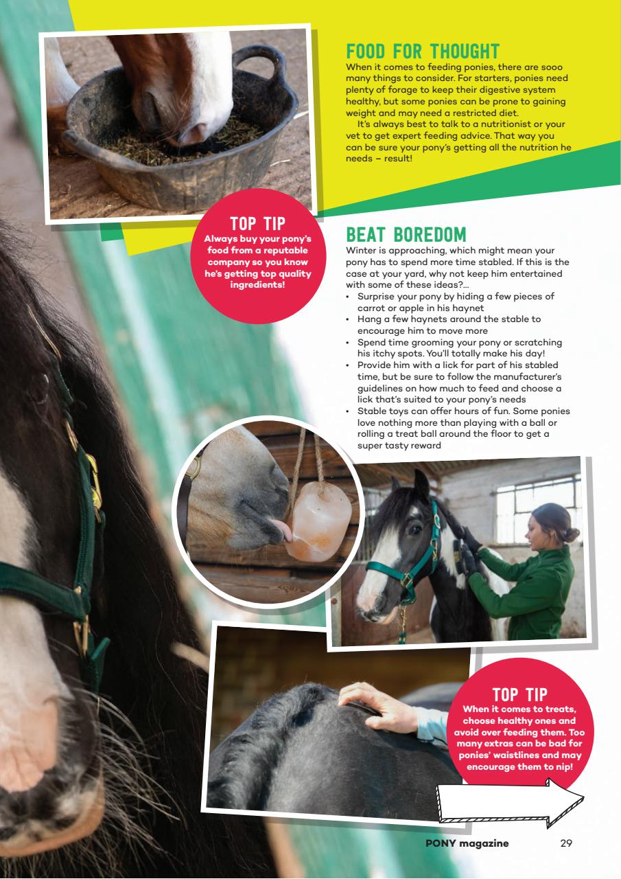 Pony Magazine Preview Pages
