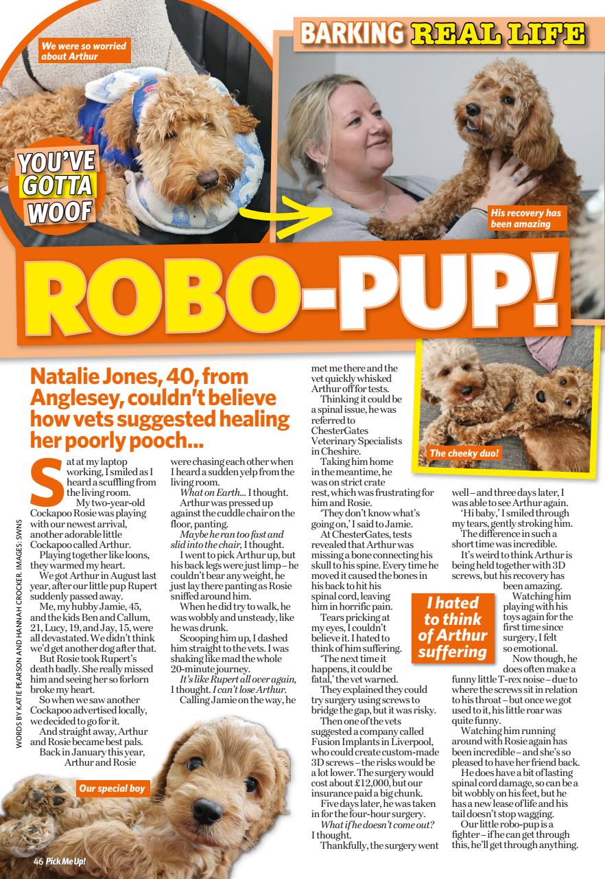 Pick Me Up Preview Pages