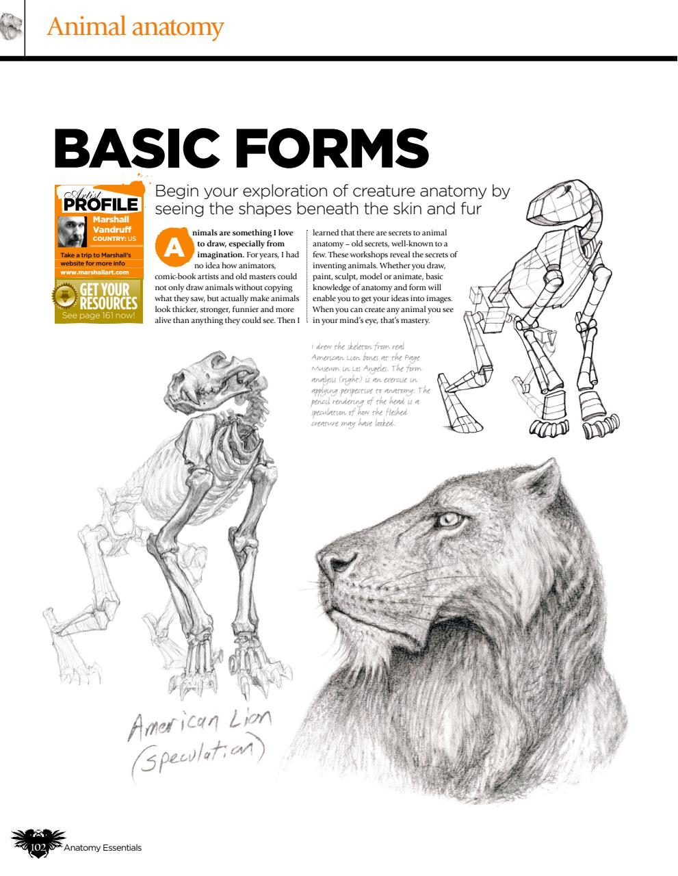 Creative Bookazine Preview Pages