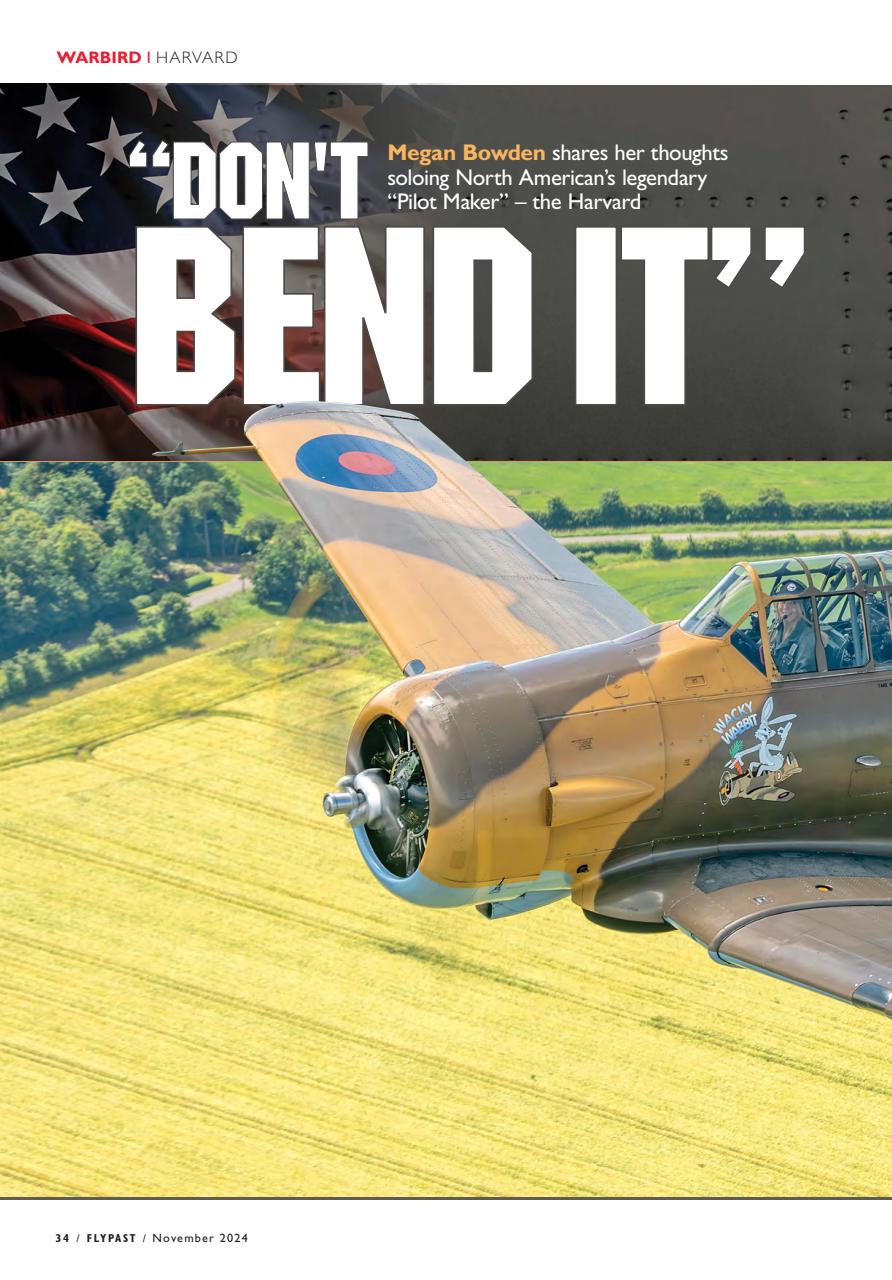 FlyPast Preview Pages