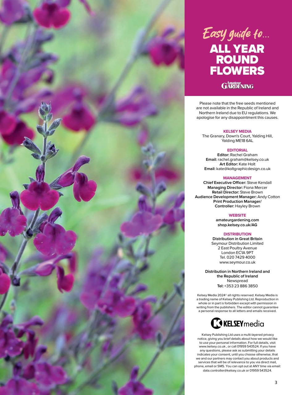 Amateur Gardening Preview Pages