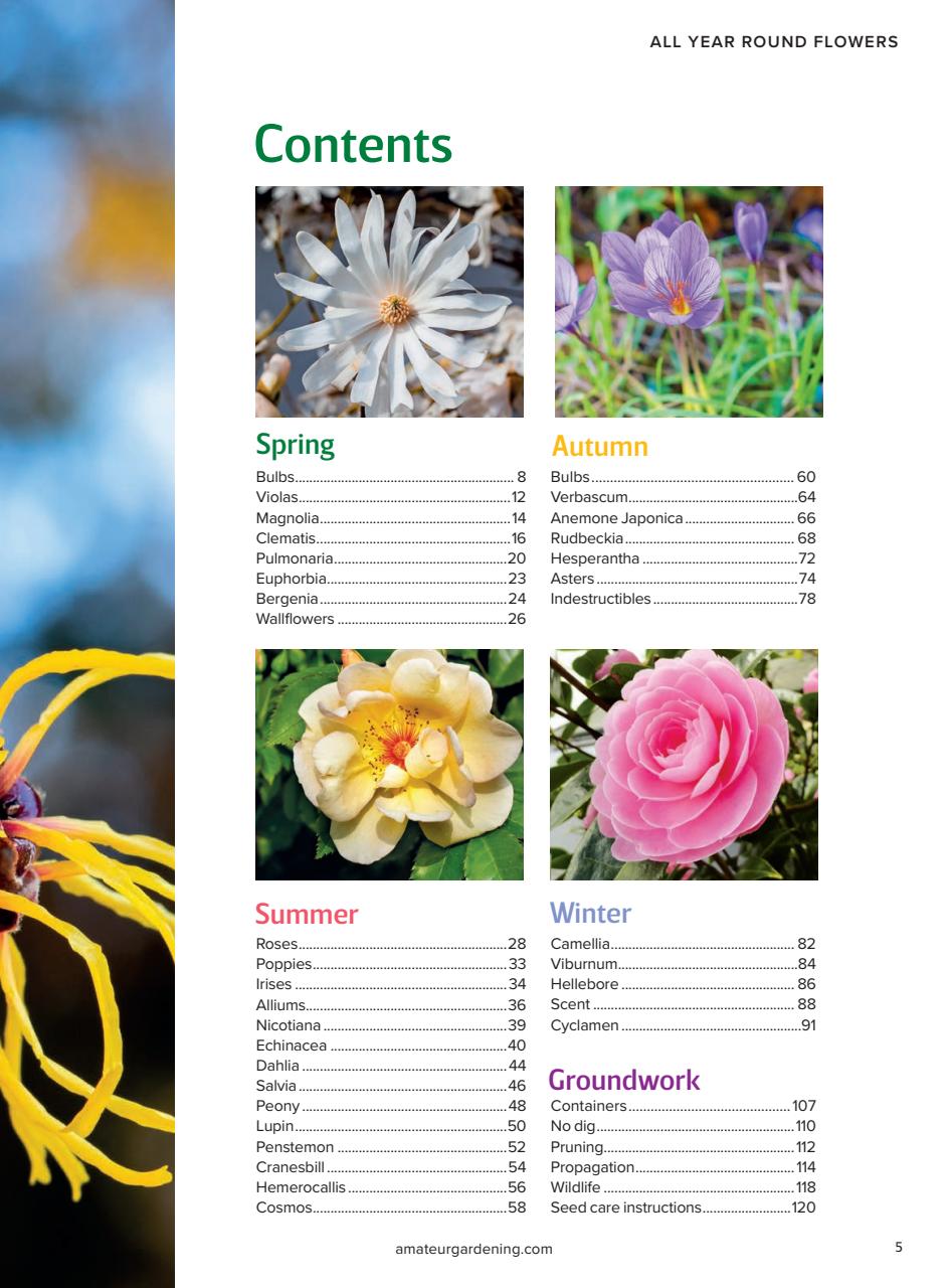 Amateur Gardening Preview Pages