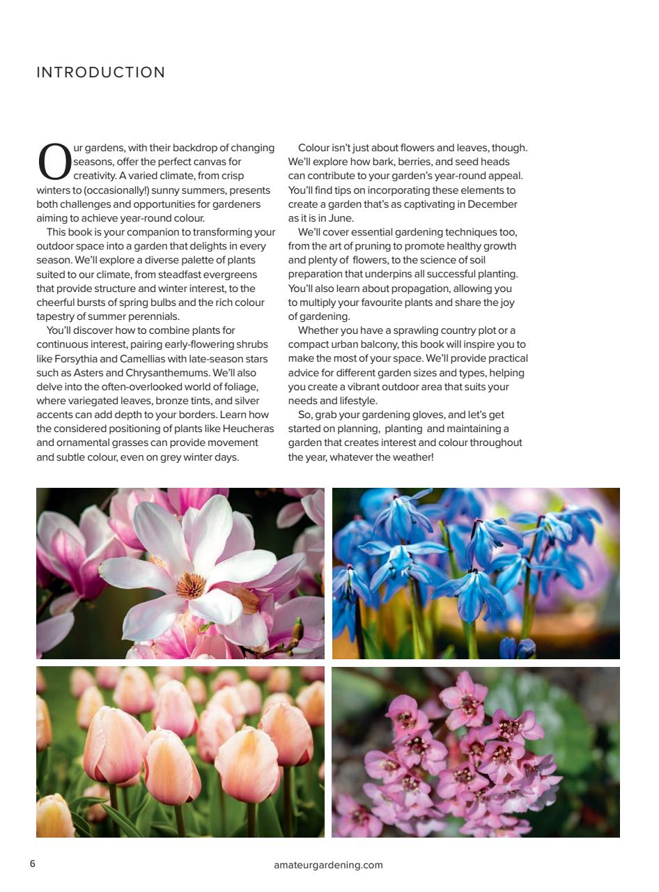 Amateur Gardening Preview Pages