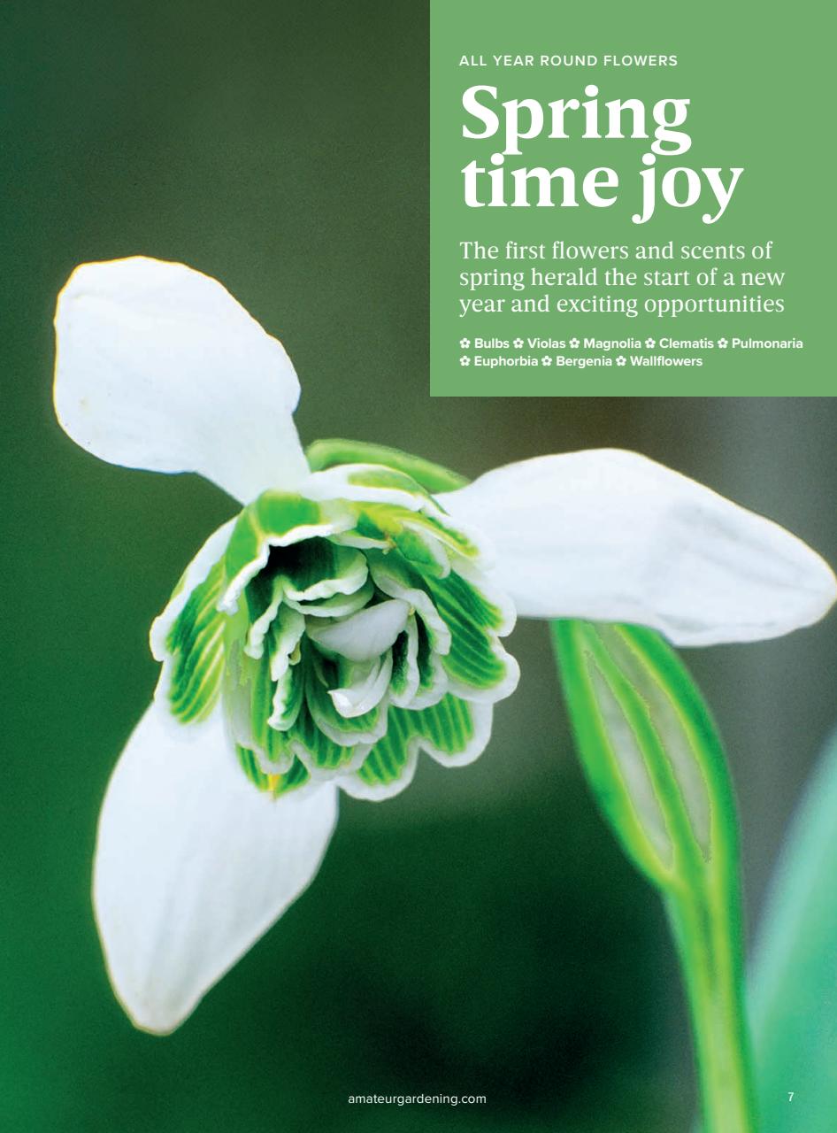 Amateur Gardening Preview Pages