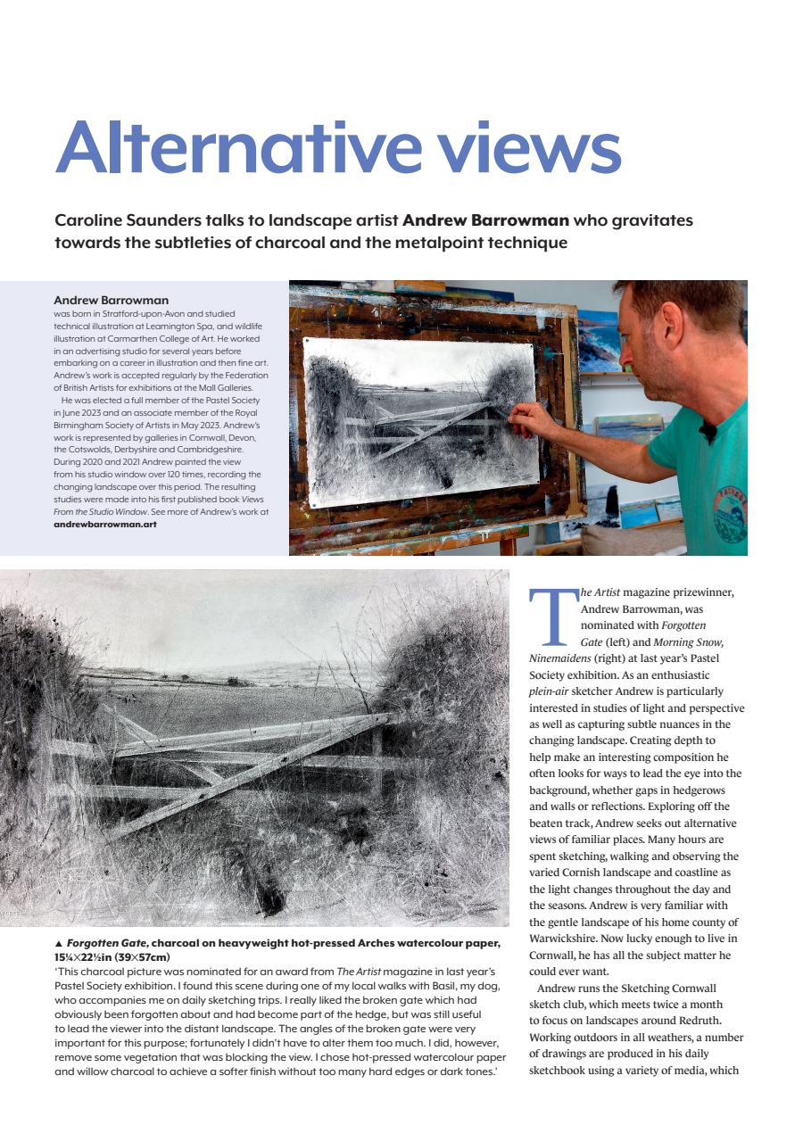 The Artist Preview Pages