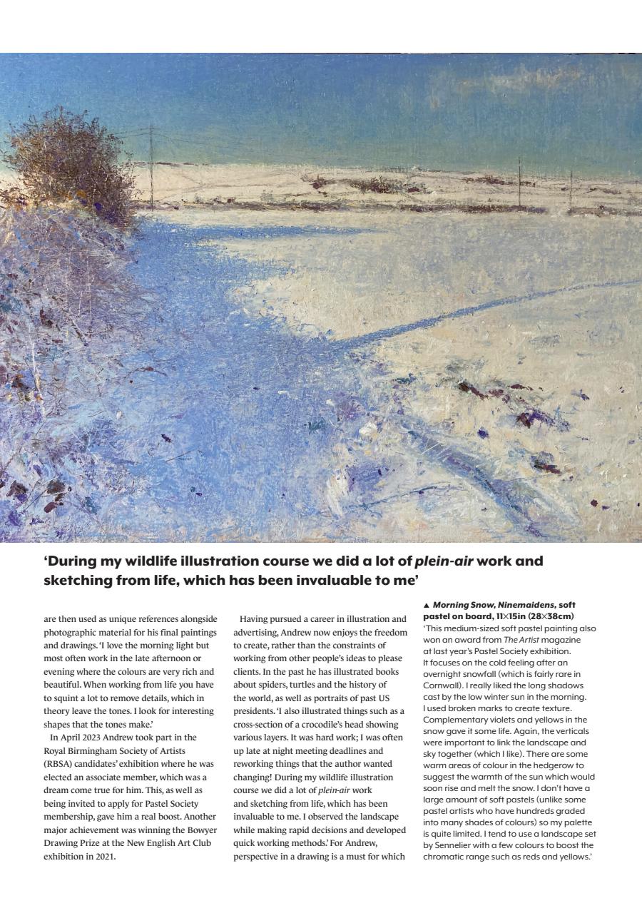 The Artist Preview Pages