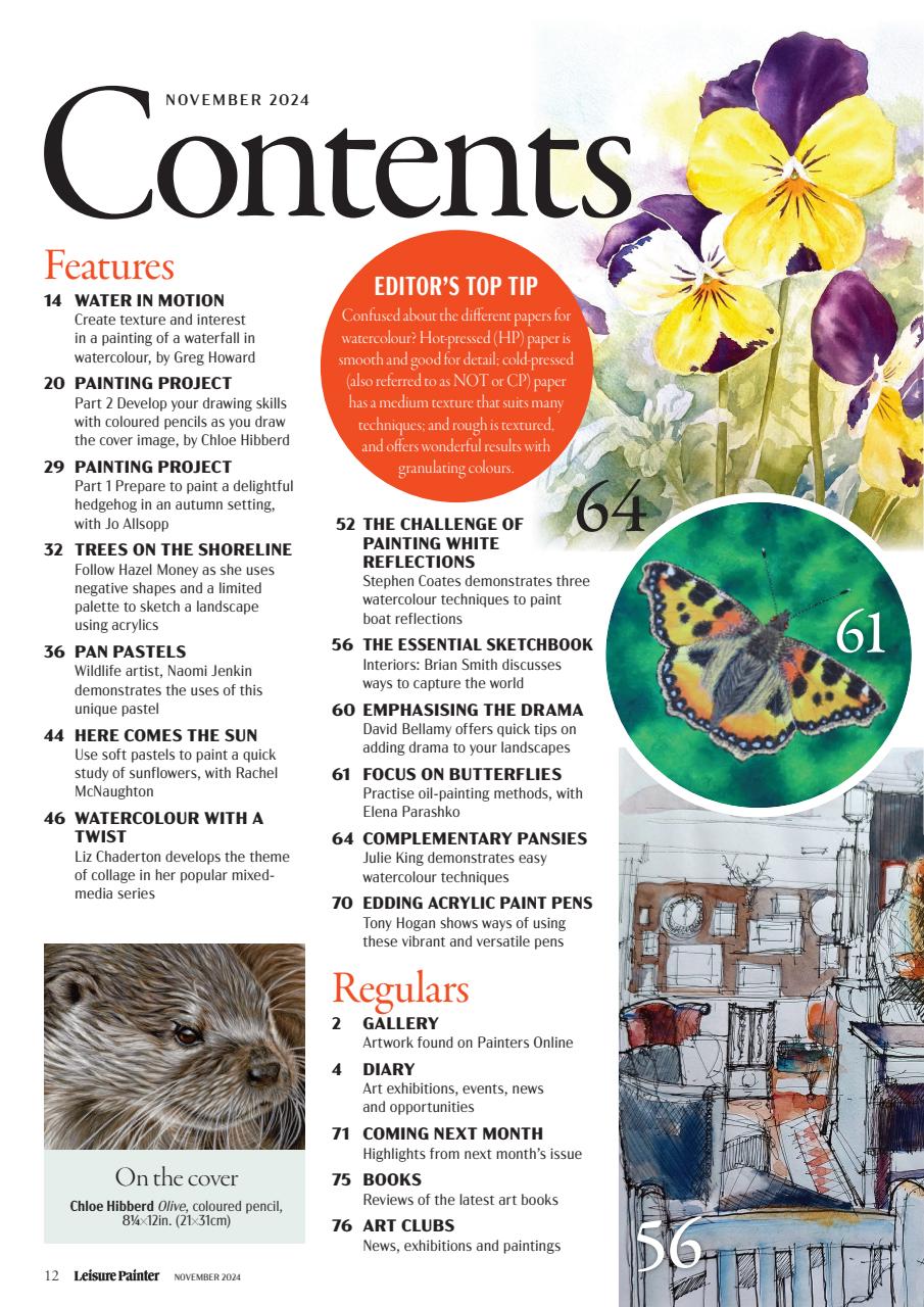 Leisure Painter & The Artist Preview Pages