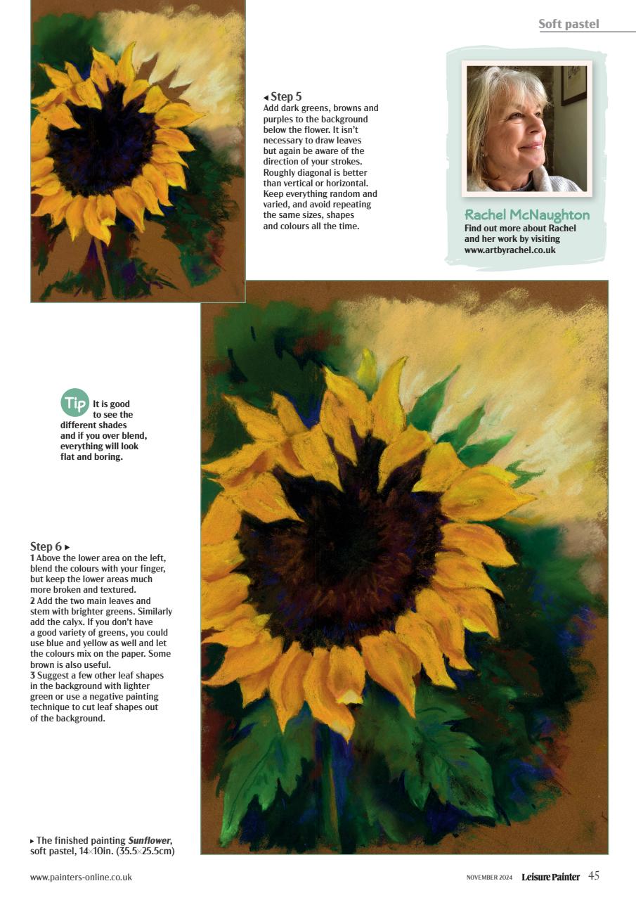 Leisure Painter & The Artist Preview Pages