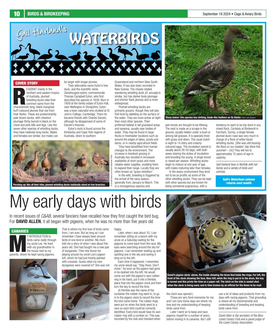 Cage & Aviary Birds Preview Pages