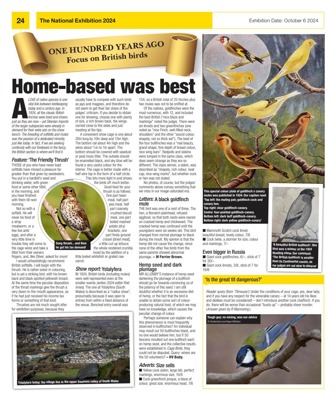 Cage & Aviary Birds Preview Pages