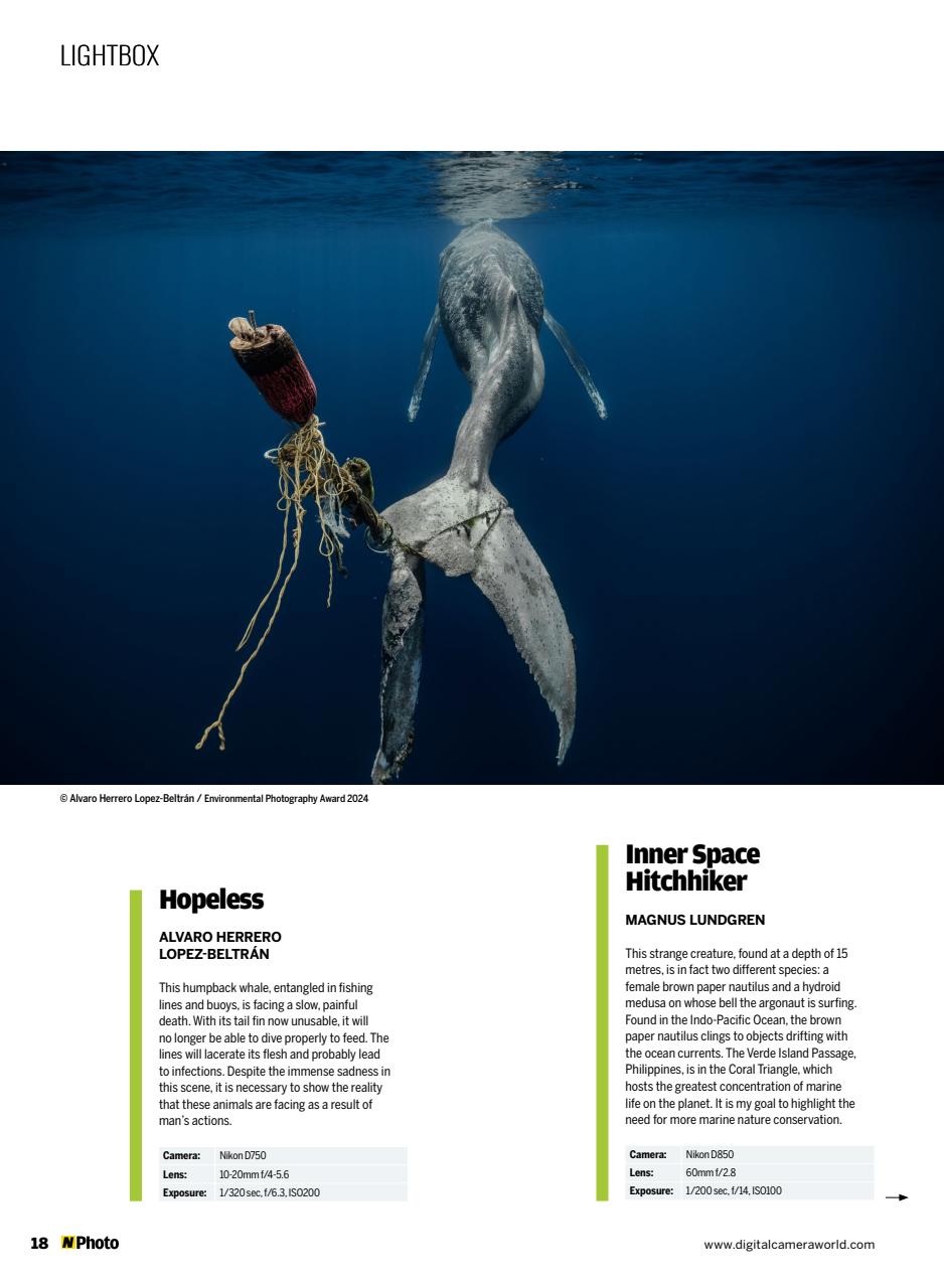 N-Photo Preview Pages