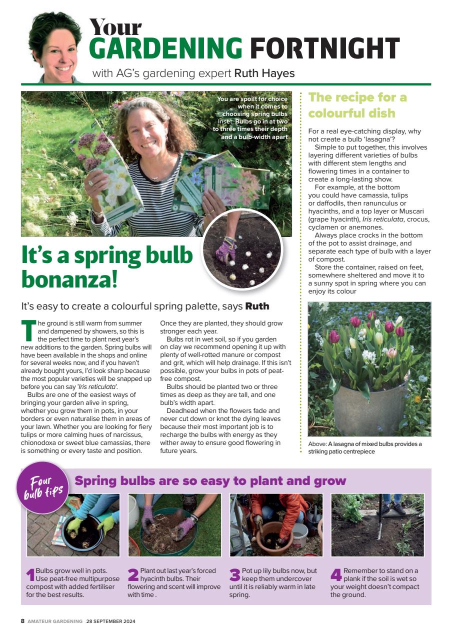Amateur Gardening Preview Pages