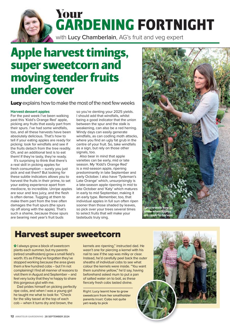 Amateur Gardening Preview Pages