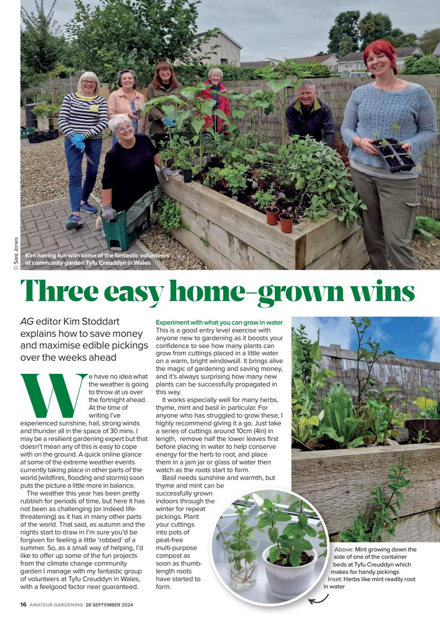 Amateur Gardening Preview Pages