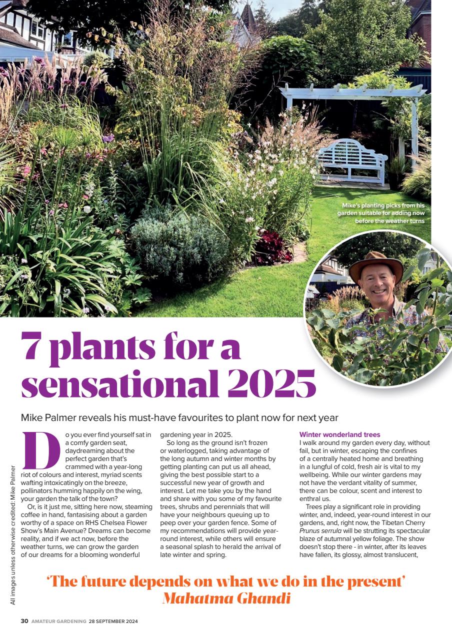 Amateur Gardening Preview Pages