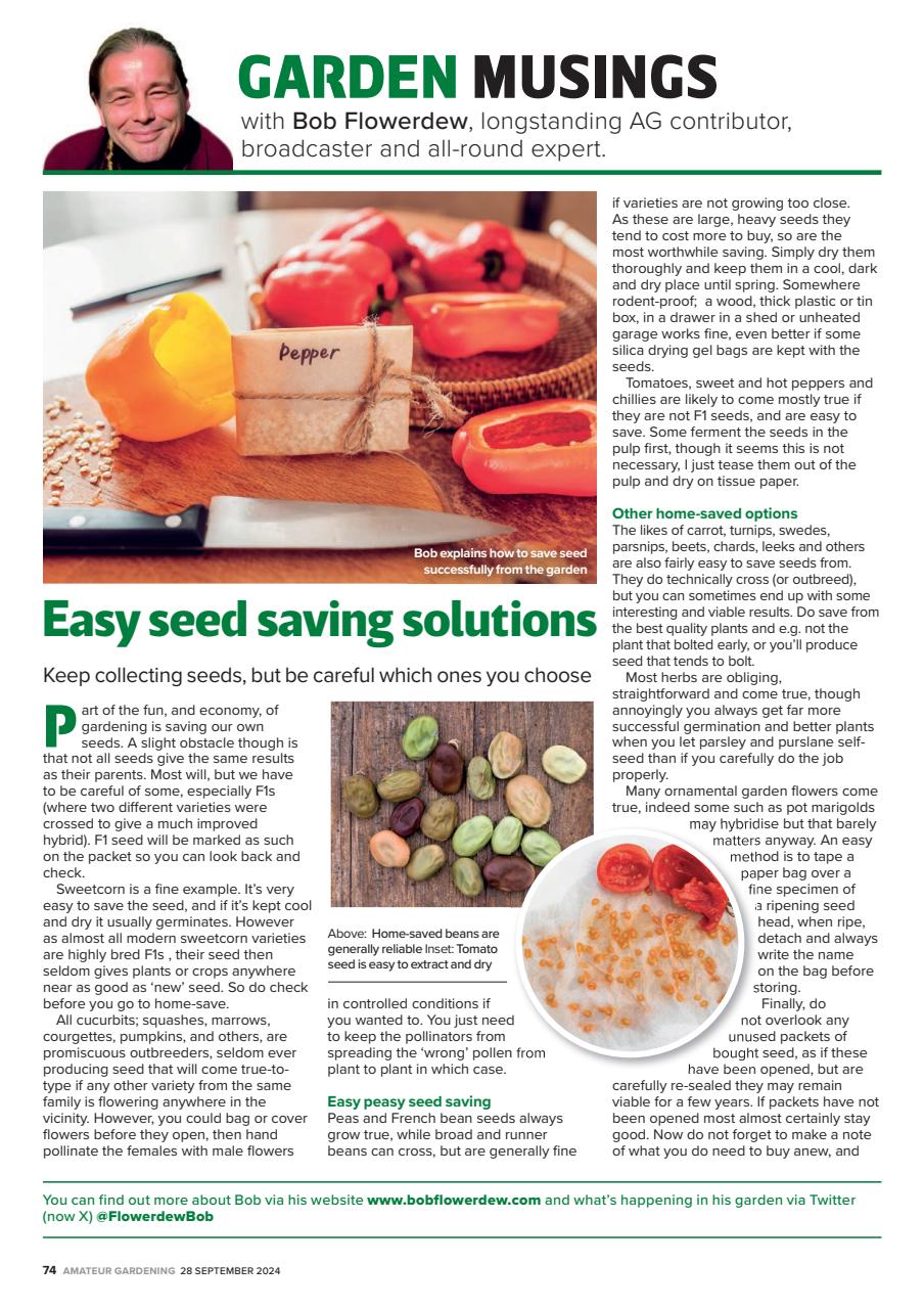 Amateur Gardening Preview Pages