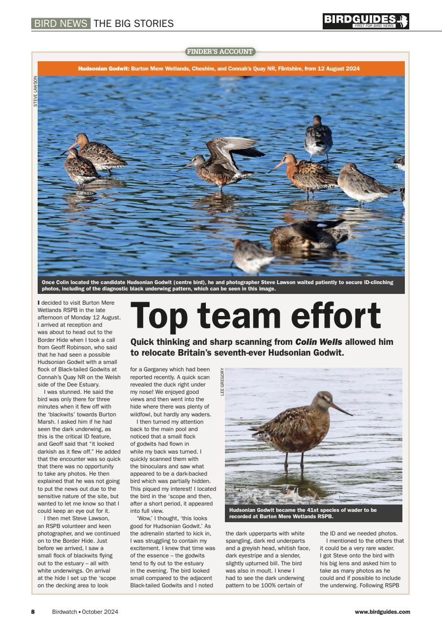 Birdwatch Magazine Preview Pages