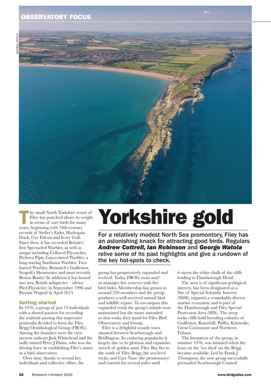 Birdwatch Magazine Preview Pages