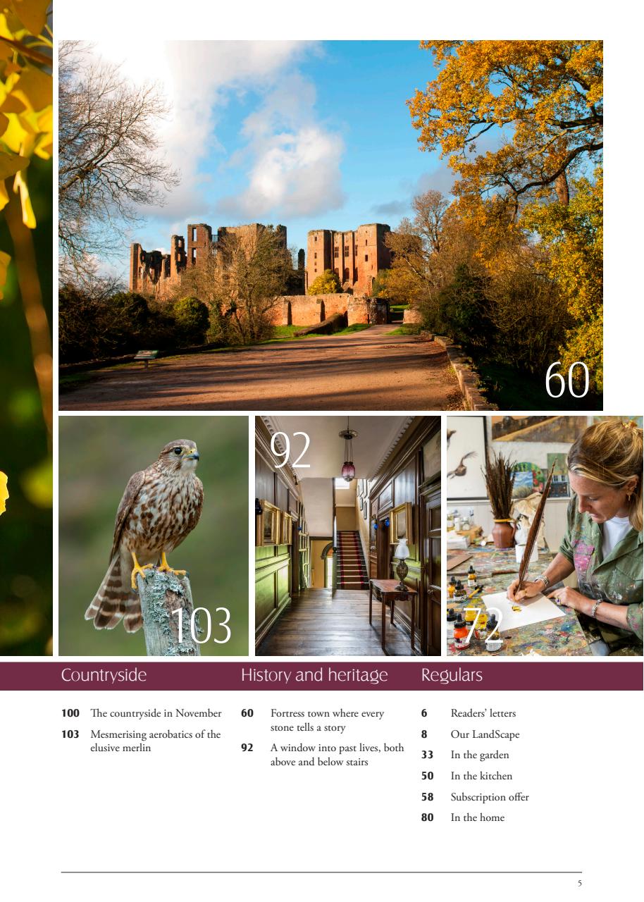 LandScape Preview Pages