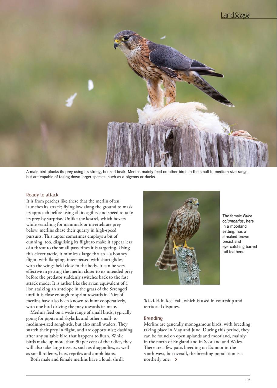 LandScape Preview Pages