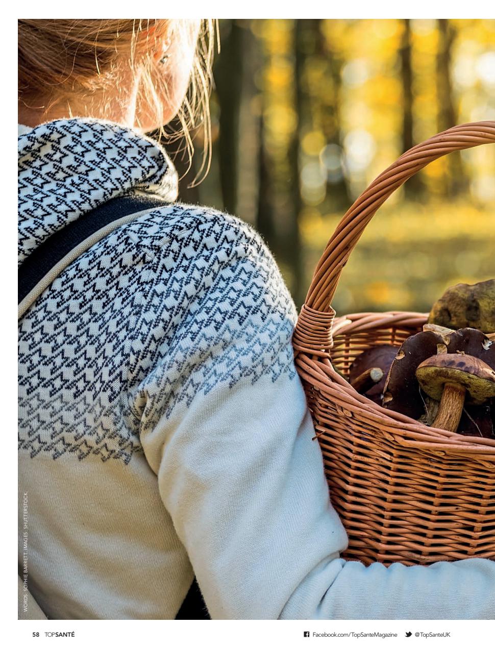 Top Sante Preview Pages