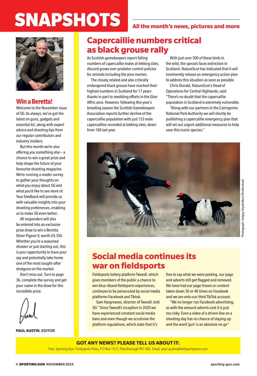 Sporting Gun Preview Pages