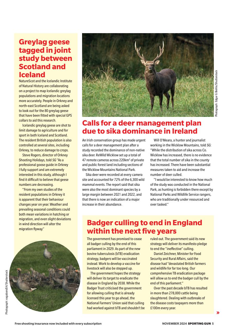 Sporting Gun Preview Pages