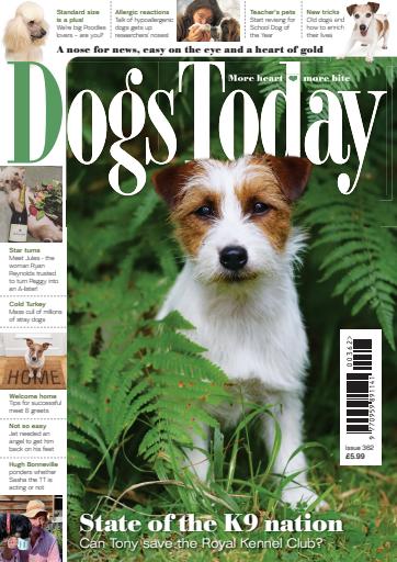 Dogs Today Magazine issue 